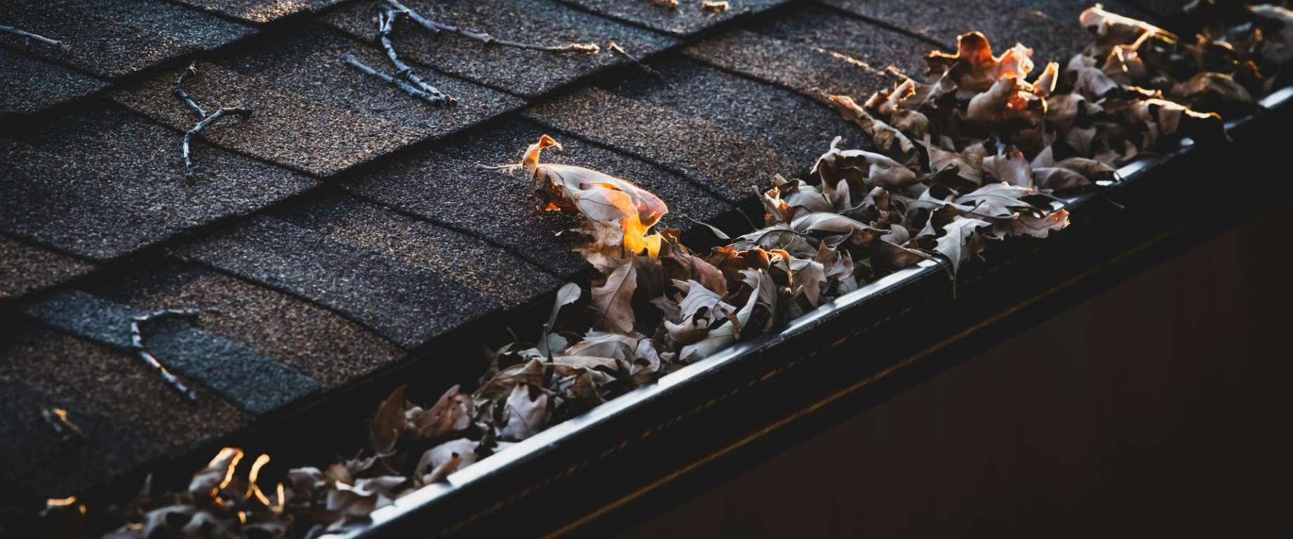 Don't Wait For the Next Big Rain