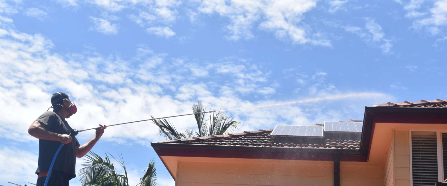 Professional Roof Washing