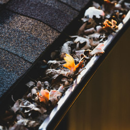 gutter_cleaning_sydney_northern_beaches_nsw.jpg