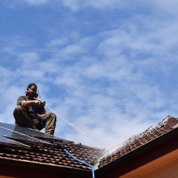 roof_algae_lichen_cleaning_biocide_sydney_northern_beaches_nsw.jpg