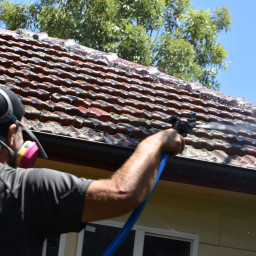 Roof pressure cleaning to remove mould and algae in Northern Beaches