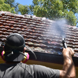 Roof pressure cleaning to remove mould and algae in Sydney