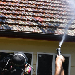 biocide_treatment_northern_sydney_northern_beaches_nsw.jpg