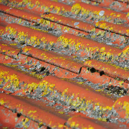 dirty_roof_north_sydney_nsw.jpg