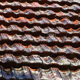 Algae on roofs