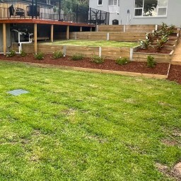 carpentry_backyard_northern_beaches_nsw_2.jpg